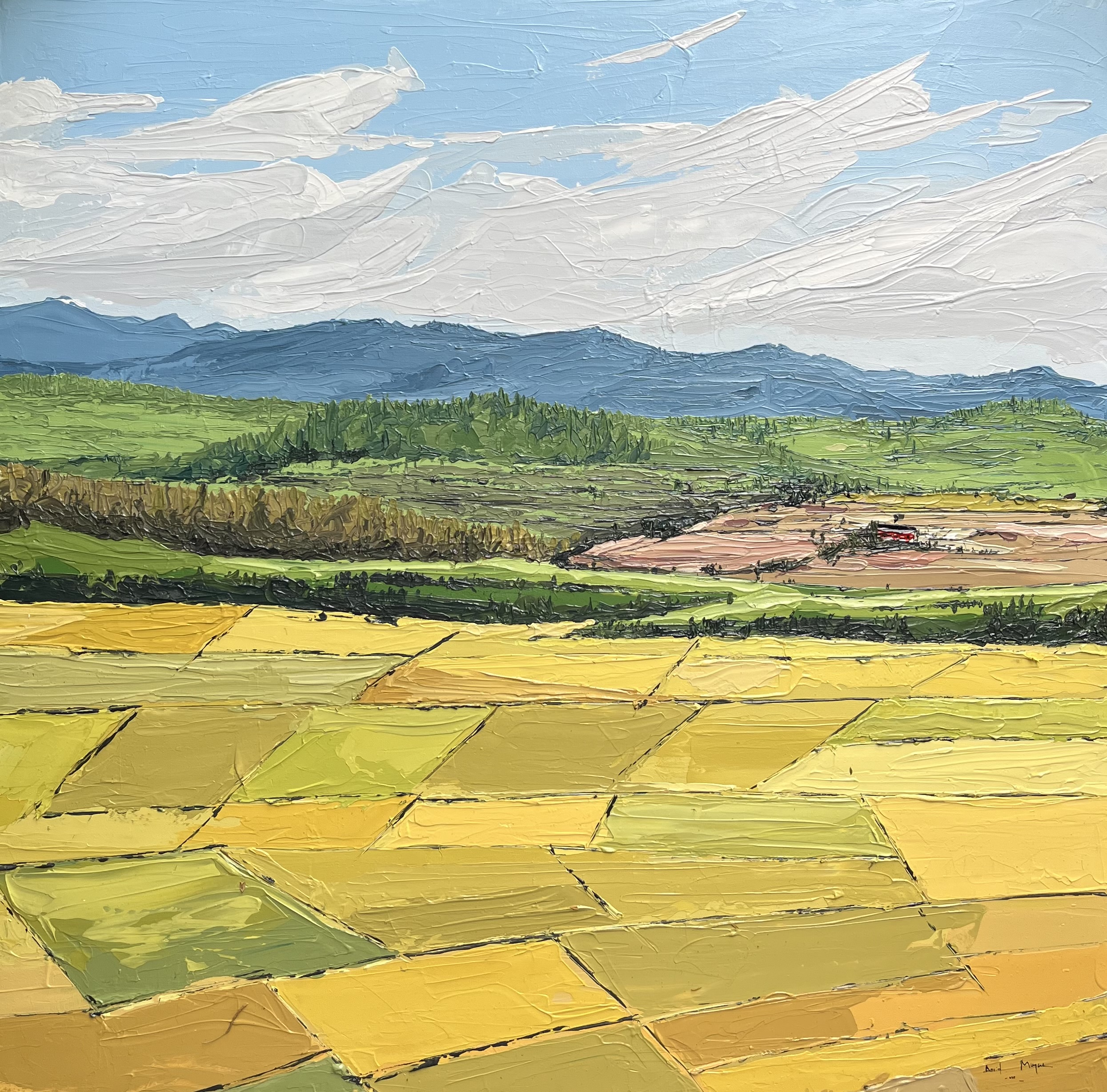fields